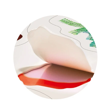 Creatieve set met herbruikbare zachte stickers - Dinosaurus Land