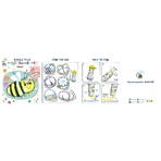 Kit de arte mágico - Jardín