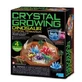 Set d'expériences de croissance Cristaux, terrarium avec dinosaures