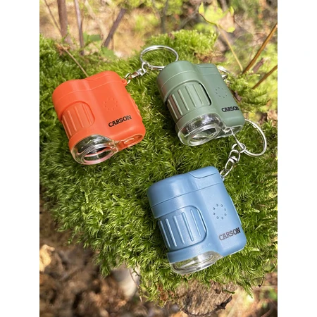 Microscope portable avec porte-clés, grossissement 20x, MicroMini, Safari