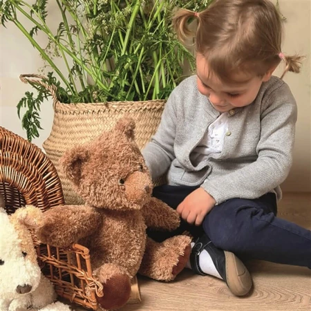 Egmont soft toy, Martin the teddy bear