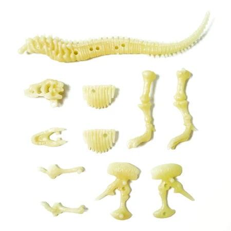 T-Rex-Phosphoreszenz , Sci:Bits
