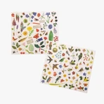 Transfer stickers Botanist, Moulin Roty