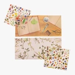 Transfer stickers Botanist, Moulin Roty