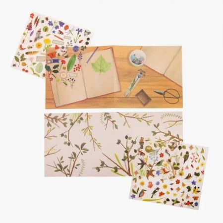 Transfer stickers Botanist, Moulin Roty