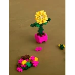 Construction set Plus-Plus, PLANTS - Sunflowers