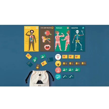 Londji game Human body