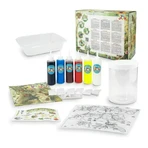 Set TUBI JELLY (modelleergel) met 6 kleuren - INSECTS