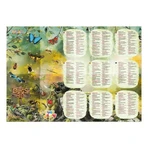 Set TUBI JELLY (modelleergel) met 6 kleuren - INSECTS