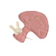 Mushroomed soft toy, Egmont toys