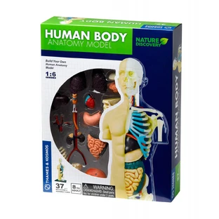 Anatomie van het menselijk lichaam STEM Kit