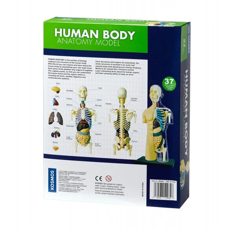 Anatomie van het menselijk lichaam STEM Kit