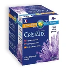 Experiment kit - Crystal violet