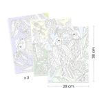 Map with 3 coloring posters Birds, Djeco