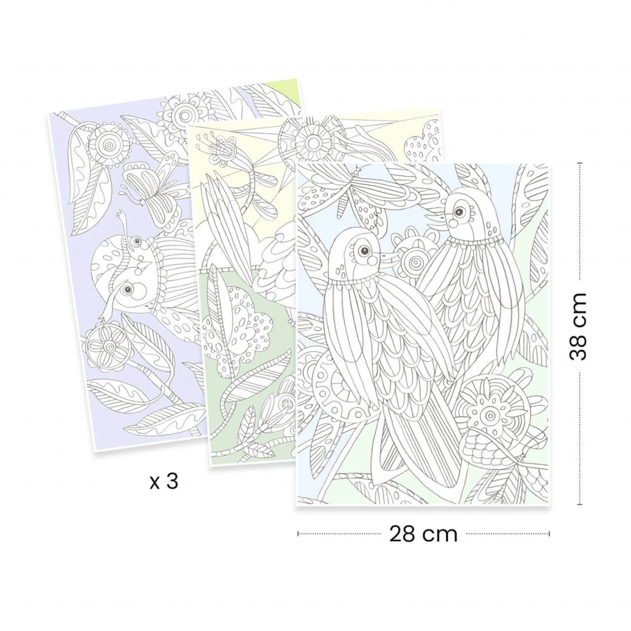 Map with 3 coloring posters Birds, Djeco