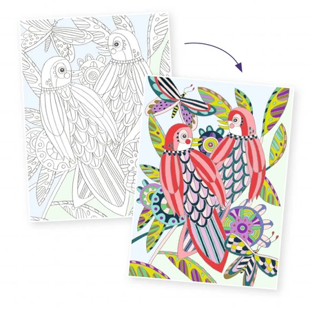 Map with 3 coloring posters Birds, Djeco