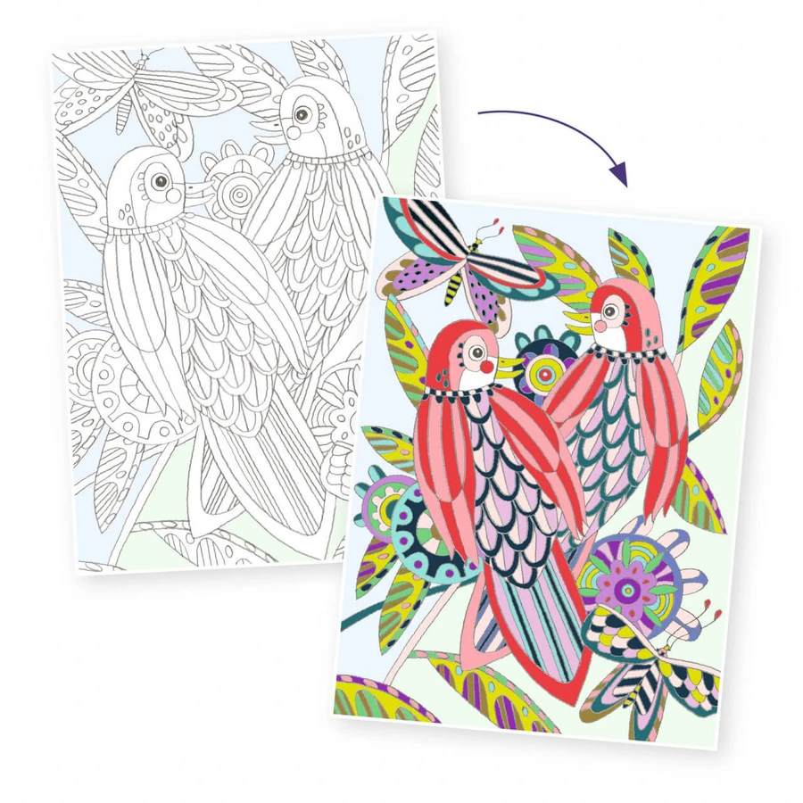 Map with 3 coloring posters Birds, Djeco