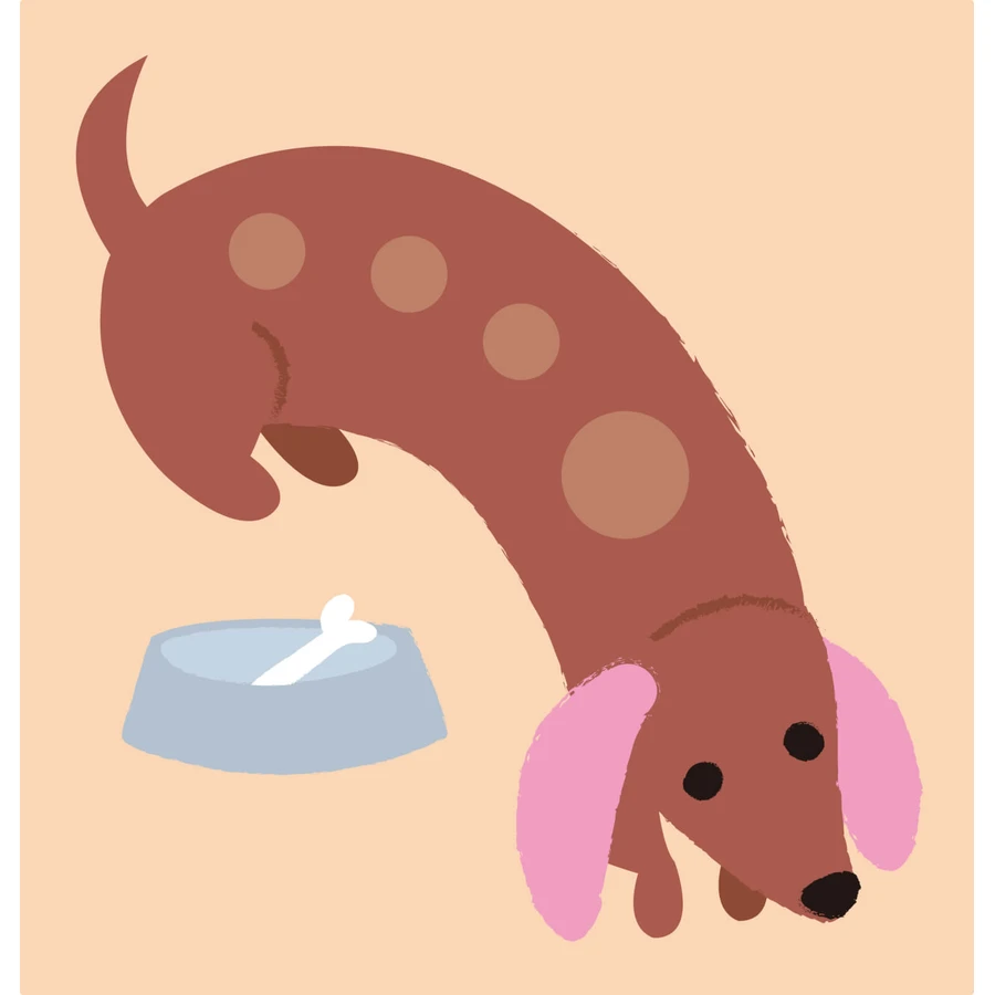 Dots4Fun - Animales de la granja, Dots4Fun - Untie-Plip-Play-Play-Play