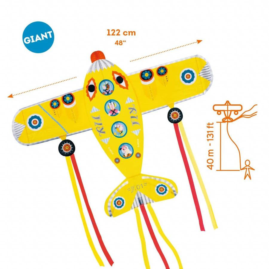 Zmeu Djeco The biggest airplane