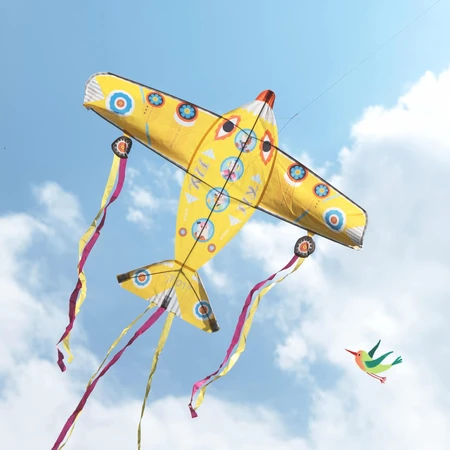 Zmeu Djeco The biggest airplane