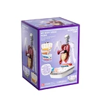 STEM game Human Anatomy, TopBright