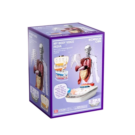 STEM game Human Anatomy, TopBright