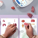 STEM game Human Anatomy, TopBright