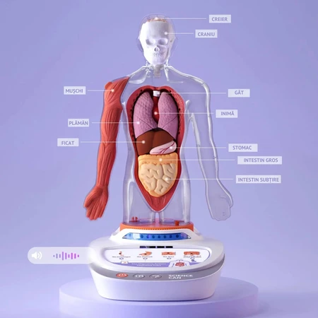 STEM game Human Anatomy, TopBright
