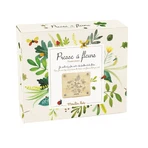 Prensa de flores de madera, Moulin Roty