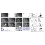 Set creativo Disney Frozen para colorear y rascar