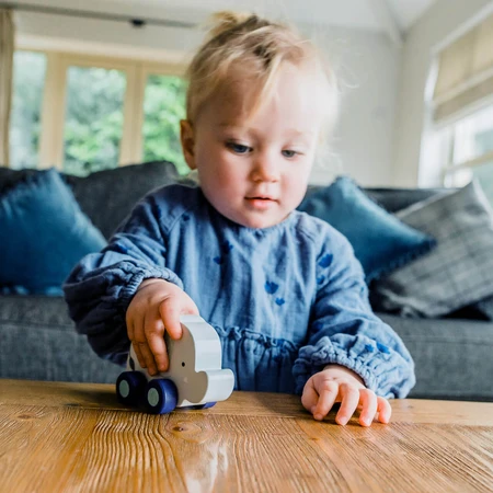 Elephant - wooden toy with wheels, Orange Tree Toys