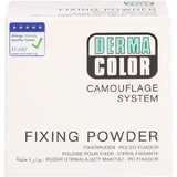 DERMACOLOR Camouflage Fixeerpoeder groot P1 60 g