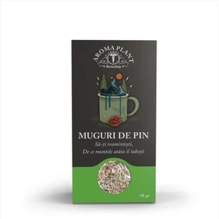 Bonchiș dennenknop thee, 50 g, Aroma Plant