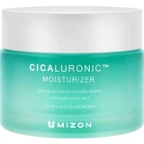 Crema hidratante para piel seca y sensible Cicaluronic, 50 ml, Mizon