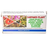 Solid cream with plant extracts and conifer resin Carpimed Plant, 10 suppositories, Elzin Plant