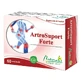 ArtroSuport Forte, 60 capsules, Naturalis