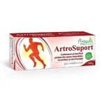 Naturalis ArtroSupport geëmulgeerde gel x 100 g