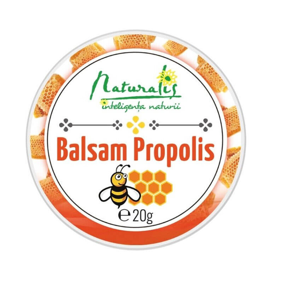 Winkel op Naturalis Propolis Balsem x 20 g Naturalis Propolis Balsem x 20 g