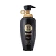 Special shampoo Oriental Black, 500 ml, Daeng Gi Meo Ri