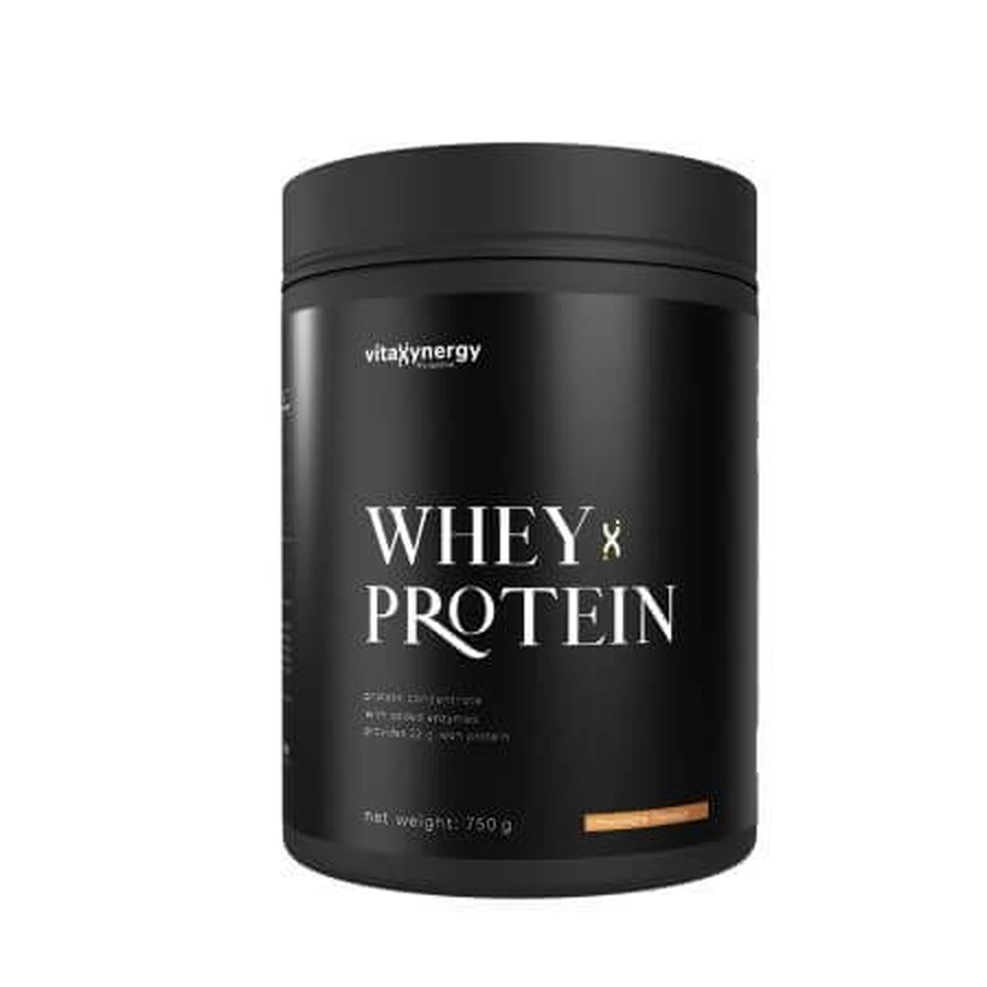 Proteína de suero en polvo con sabor a chocolate Whey Protein, 750 g, Vitaxynergy