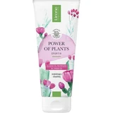 Gel douche lissant à l'extrait d'opuntia Le pouvoir des plantes, 200 ml, Lirene