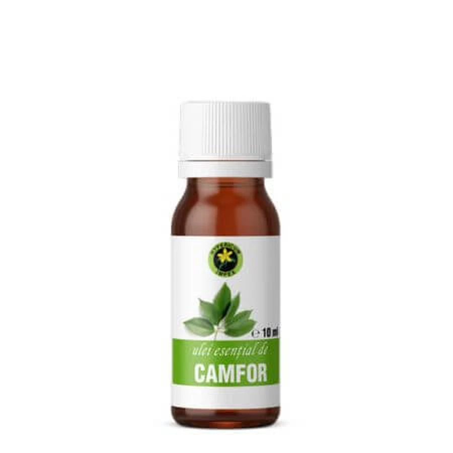 Camphor essential oil, 10 ml, Hypericum