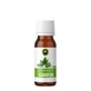 Camphor essential oil, 10 ml, Hypericum