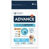 Droogvoer met kip en rijst voor honden Maxi Puppy Protect Active Defense, 3 kg, Advance Veterinary Diets