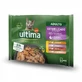 Mélange de nourriture humide avec 4 types de viande pour chats stérilisés, 4x85 g, Ultima