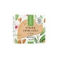 Voedende gezichtscrème met amandelextract Plantenkracht, 50 ml, Lirene