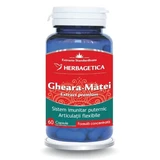 Witch Hazel extract, 60 capsules, Herbagetica