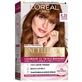 Hair color with hyaluronic acid Excellence Color Creme 6.35 Chocolate Brown, 192 ml, Loreal
