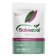 Salvestrol Shield, 500 mg, 90 capsules, Hyperfarm
