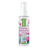 Hydrolat hydratant pour le visage, 100 ml, Lirene